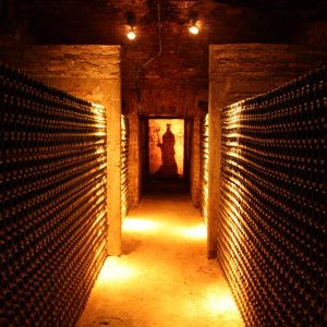 VIÑA CONCHA Y TORO tour Marquês