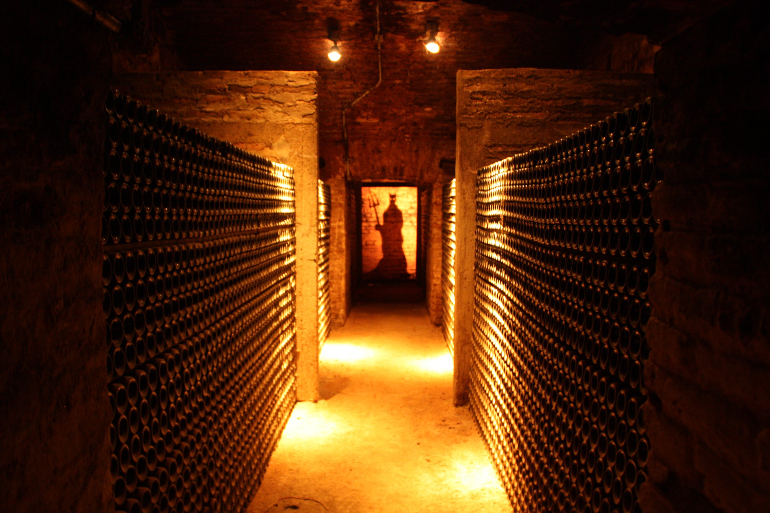 VIÑA CONCHA Y TORO tour Premium